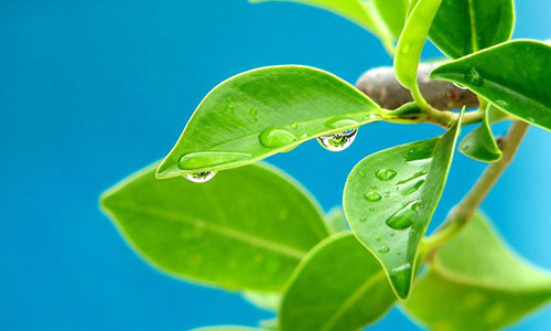 如何在快手上赚钱，从零开始到成功的攻略